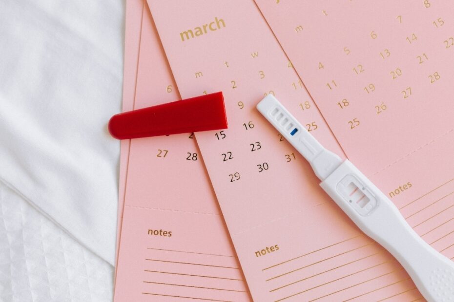 Pregnancy Due Date Calculator